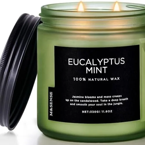 Mint Soy Candles for Home Scented, 11.6oz