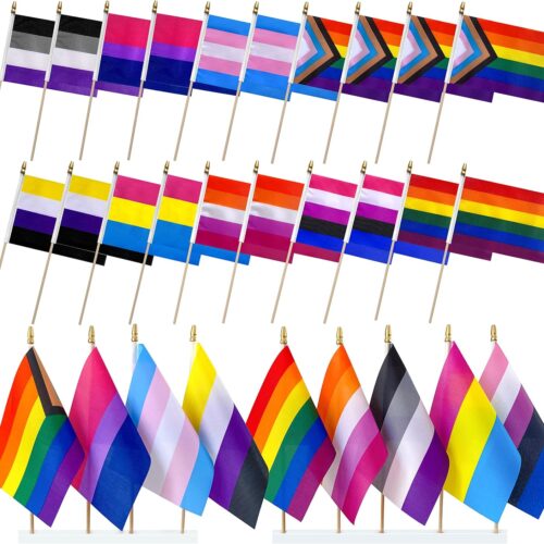 Progress Rainbow Gay Pride Flags Set on Wood Stick Small Mini Hand Held LGBTQ Inlcusive Flags,5x8 Inch,20 Pack