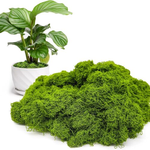 Fake Green Moss for Potted Plants Indoor, 5.3oz Artificial Moss for Crafts, Faux Moss Decor for DIY Decorative, Model Making, Walls, Glass Containers, Home