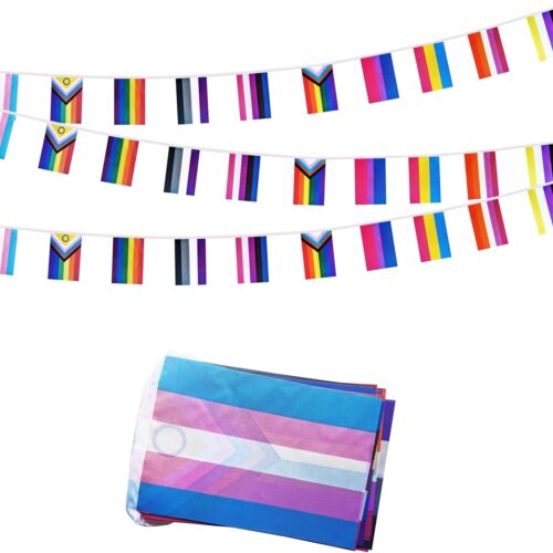 Rainbow Progress Small String Flags, 10 Types Rainbow Pride Pennant Banner Bunting Flags, LGBTQ and Gay Lesbian Pride, intersex, Bisexual, Pansexual, Transgender, Pride Month Outdoor Decorations, 33 Feet 30 Flags (1 Pack)