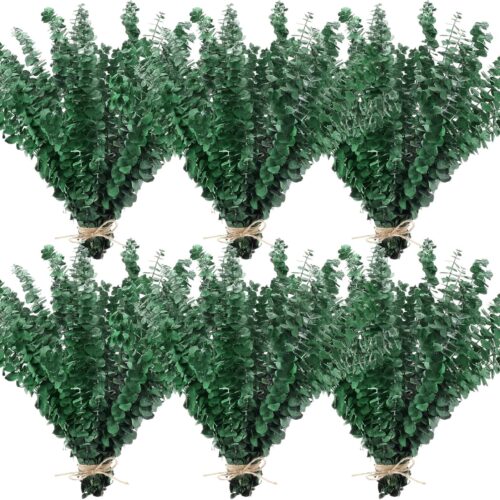 80 Pcs Large Dried Eucalyptus Stems 17inch Natural Real Fresh Eucalyptus Branches for Shower Hanging Fresh Plant Greenery Leaves for Wedding Bathroom Vase Filler DIY Garland Decor