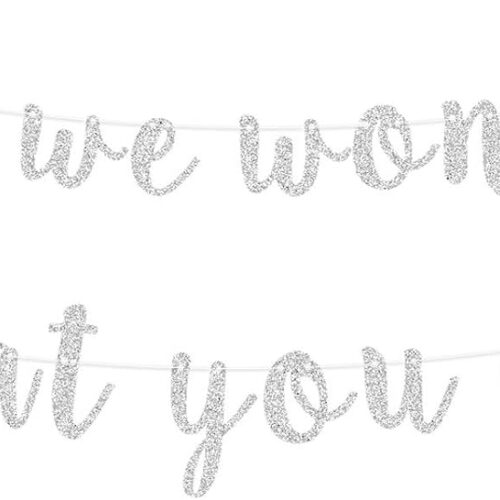 How We Wonder What You are Pre-Strung Silver Glittery Banner Twinkle Twinkle Little Star Baby Shower Gender Reveal Party Decorations for Boy or Girl