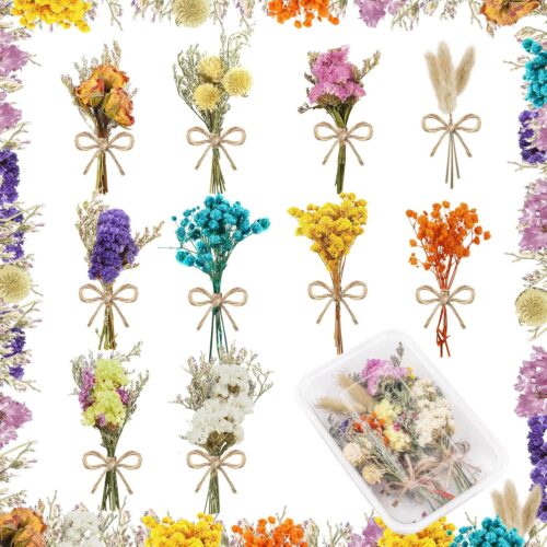 10 Pcs Mini Dried Flowers Bouquet Natural Gypsophila Don't Forget Me Dried Flowers Bouquet Plant Stem Bunch for DIY Craft Card Photo Props Vase Wedding Decor(Colorful)