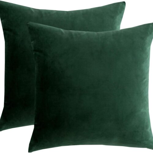 Velvet Decorative Throw Pillow Covers Cushion Cover Pillow Case for Sofa Couch Bed Chair,Soft Square Dark Green Throw Pillows 18x18 Inch,Set of 2