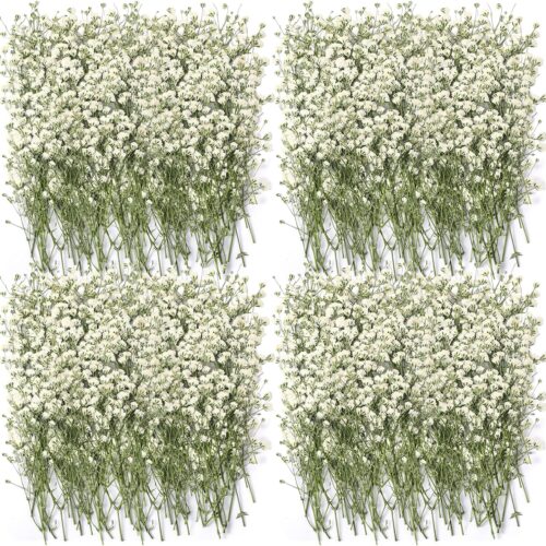200 Pcs Mini Dried Babys Breath Flowers Bulk White Dried Pressed Natural Flowers Real Gypsophila Baby Breath for Wedding Resin Art Craft DIY Invitations Card Making Home Party Floral Decor