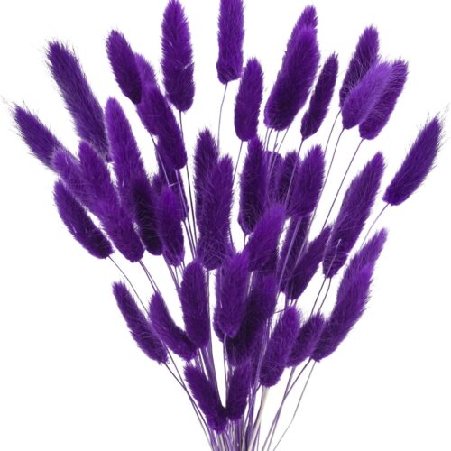 17’’ Natural Bunny Tails Dried Flowers, 50 Pcs Dried Lagurus Ovatus, Dried Purple Pampas Grass Decor for Farmhouse Flower Arrangements Wedding Home Craft Boho Party Decorations
