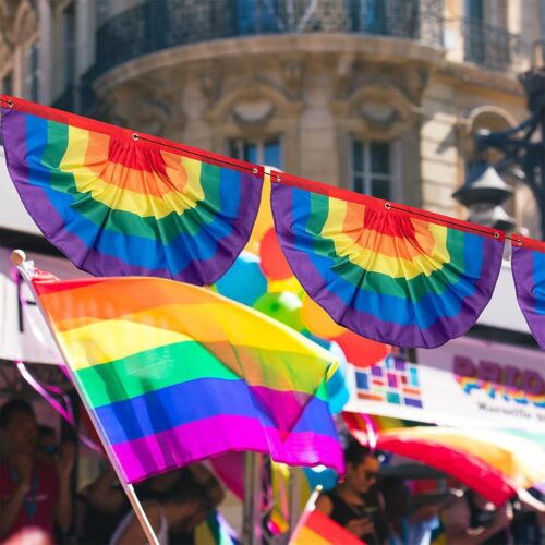Pride Rainbow Pleated Fan Bunting Flag 1.5 x 3 Ft Gay Pride Rainbow Bunting Flag Banner for LGBTQ Proud Wall Decor Holiday Hanging Backdrop for Parades Holiday Indoor Outdoor Decor 2 Pcs