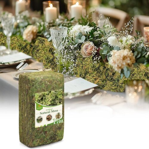 17oz Large Pack Natural Green Moss for Crafts - Bulk Moss for Plants Indoor, Artificial Fairy Gardens, Mosswall, Glass Terrariums, Filling Fake Plants, Home Decoration, Professional DIY Use