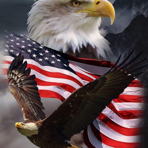 DIY 5D Diamond Painting Eagle and Flag by Numbers Kits for Adult and Kids,Round Full Drill Crystal Rhinestone Embroidery Cross Stitch Arts Canvas for Home Wall Decor.(11.8X15.7in/30X40cm)