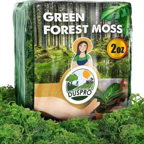 Green Moss for Crafts Decorative Filler planters Decor Artificial Table Centerpieces Wedding Christmas Fairy Party Decor, Faux Indoor Planters, DIY Project, 2 oz,(AG)