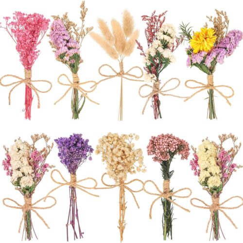 10 Pack Plus Size Dried Flower Bouquets Various Natural Dried Flower Combinations with Stem Dried Embossing Flower Bundles Dry Floral Arrangement for Vase, Carfts, DIY, Wedding, Home Decor (Plus)