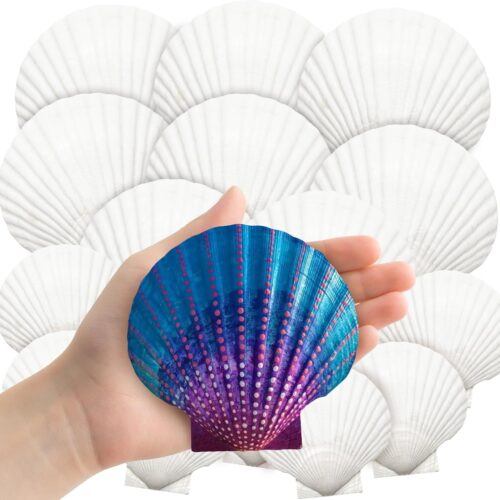18PCS Large Natural Scallop Shells,4''-5'' White Seashells Bulk for Crafts DIY Painting Baking and Ocean Summer Beach Wedding Home Decorations(2 Sizes Range)