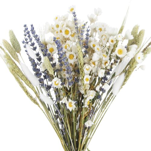 Dried Flowers Bouquet Dried Daisy Flowers Natural Lavender Dried Flowers Bunny Tails Gerber Daisies Flowers Wheat Stalks Floral Arrangements for Wedding Table Centerpiece Decor Farmhouse DIY