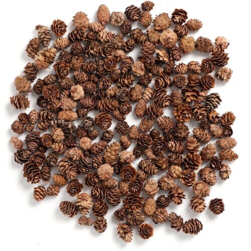 Pine Cones, Mini Pinecones in Bulk for Crafts, 8OZ, Pack of 110 (Natural)
