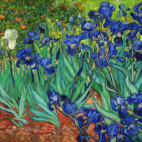 Large Diamond Painting Kits for Adults, Van Gogh Irises 5D Diamond Art Kits for Beginner DIY Full Drill Diamonds Dots Crystal Craft Kits for Home Wall Decor Gifts[16x19in]
