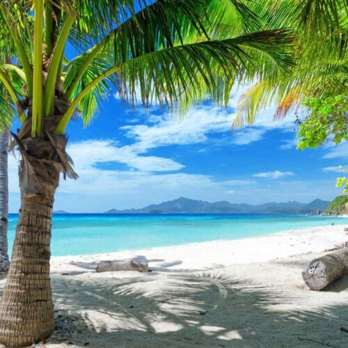 7X5FT Summer Tropical Sea Beach Backdrop Photography Sunset Hawaiian Seaside Ocean Palm Background for Wedding Birthday Party Banner Baby Shower D428