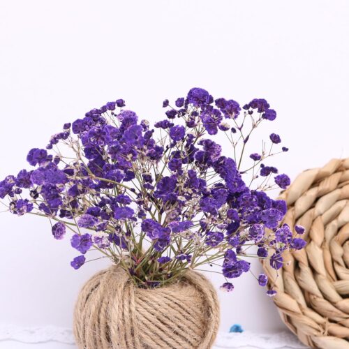 30 Branches Purple Pressed Flowers Bulk Dried Flower Kit for Resin , Dried Babys Breath Flower Natural with Tweezer for Crafts Christmas DIY Gift Scrapbooking Photo Props.