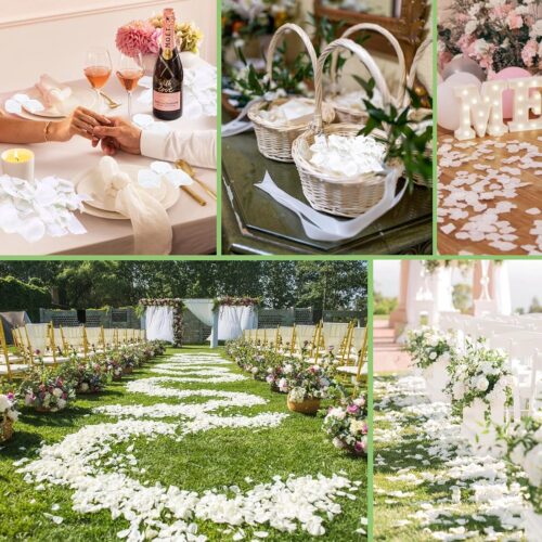 1250+ Real Dried Lvory White Hydrangea Petals - 0.88 oz Preserved Natural Flower Petals for Wedding Decor, Flower Girl, Party Confetti, Dinner Table Centerpieces, Handcrafts