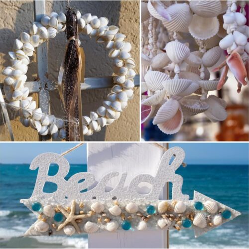 0.68LB(100pc+) Small Sea Shells White Small Tiny Sea Shells Clam Shells Bulk Natural Scallop Shells for Home Decor Beach Theme Party Fish Tank Vase Filler