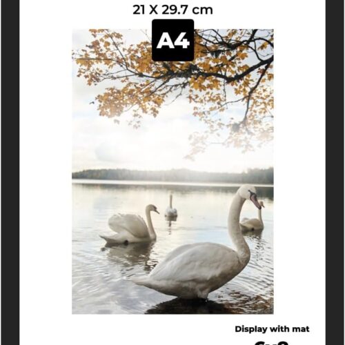 A4 Frame Black - Display 6x8 Picture Frame With Mat or 8.27x11.69 Inch Without Mat Poster Frame, Certificate Document Frame, for Wall Art