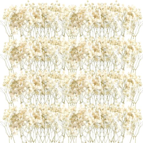 50 Pcs Mini Dried Baby Breath Flowers Wedding Ivory Natural Flowers Bulk Dried Gypsophila for Vase Brides Shower Invitation Card DIY Candle Making Decor Craft Party Resin Art, 2-4 in