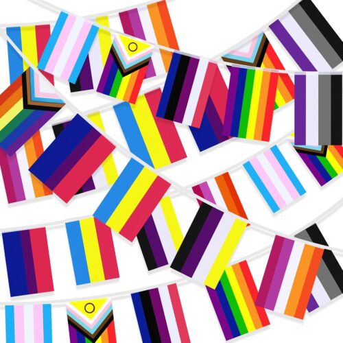 100 Pcs 105 Feet Pride Flags Banners, Gay Rainbow Banner String Lesbian Pansexual Bisexual LGBTQ Pennant Flags Bunting for Home Garden Bars Pride Month LGBT Party Decorations, 10 Styles