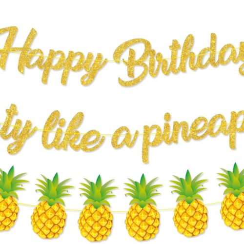 Party Like A Pineapple Banner, Tropical Happy Birthday Banner, Pineapple Garland for Aloha Luau Tropical Summer Hawaiian Birthday Party Decorations Supplies