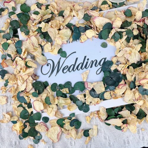 20+ Cups of Mix Dried Bio Flower Rose Petals Confetti, 2 QT Ivory White Roses & Eucalyptus Leaves, Real Petals for Wedding Parties Romantic Gifts, Flower Girl Bridal