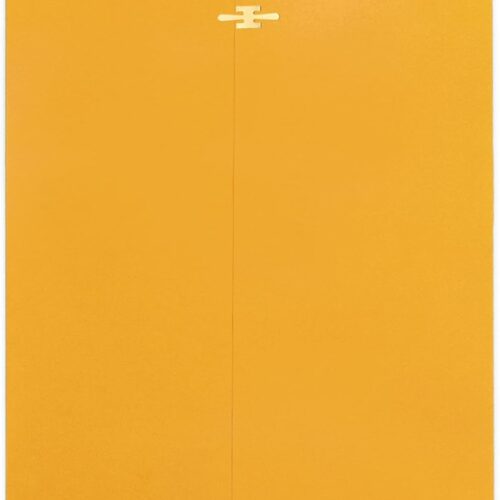 10x13 Clasp Envelopes 20 Pack, Large Brown Yellow Manilla Envelopes 10x13 with Clasp and Gummed Seal for Office - 100GSM Kraft Paper