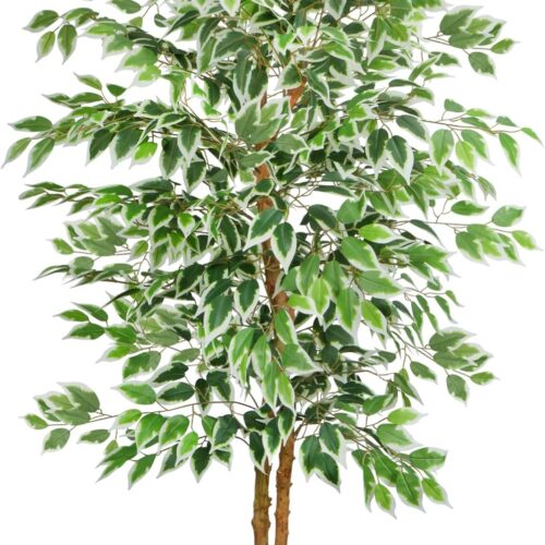 5ft Ficus Tree Artificial, Tall Fake Tree with Natural Trunk Faux Trees Indoor Silk Ficus Leaves Artificial Trees for Home Decor Indoor Summer Office Living Room Outdoor (Included Dried Moss)