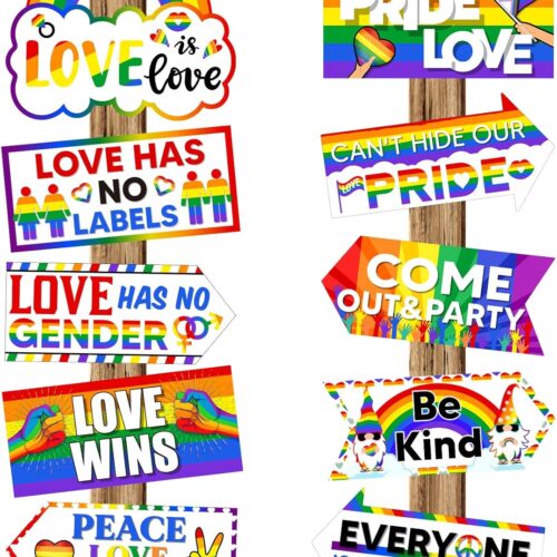 20 Pcs Gay Pride Decorations Sign Rainbow Gay LGBT Party Favors Love Is Love Sign Month Celebrations Multicolor Love Has No Gender Yard Decorations for Gay Pride Theme Party Supplies, 10 Designs
