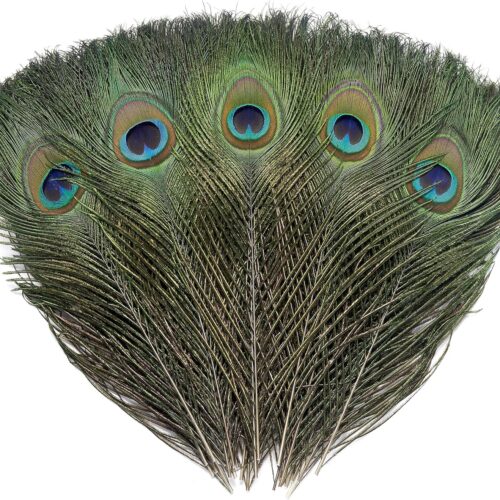 120 PCS Real Natural Peacock Eye Feathers 10-12 inch for DIY Craft, Wedding and Holiday Decorations