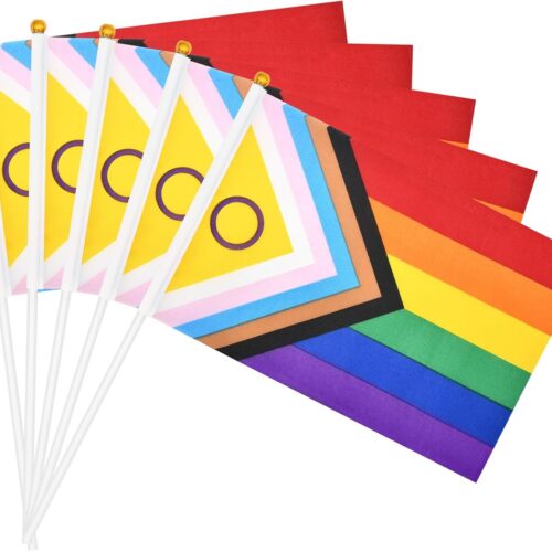 20 Pieces 5 x 8 Inches Small Intersex Inclusive Progress Pride Flag Sticks - Handheld Progress Pride Flags, Mini LGBTQ Rainbow Gay Flag for Outdoor LGBT Parades, Rainbow Pride Month Party Decorations