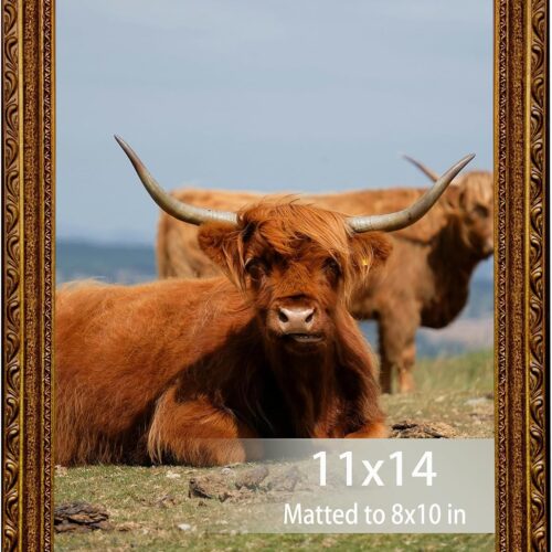 11x14 Picture Frame Gold Vintage Wood Baroque Design for Wall Hanging, Antique Ornate Photo Frame Fits 8x10 with Mat for Wall Art and Prints