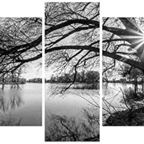 DIY 5D Full Diamond Art Kit,Black and White Tree Lake Surface Sunshine 5 Piece Multi Diamond Art Kits for Adults Paint with Diamonds Kits Diamonds Embroidery by Numbers 17.7x37.4 inch