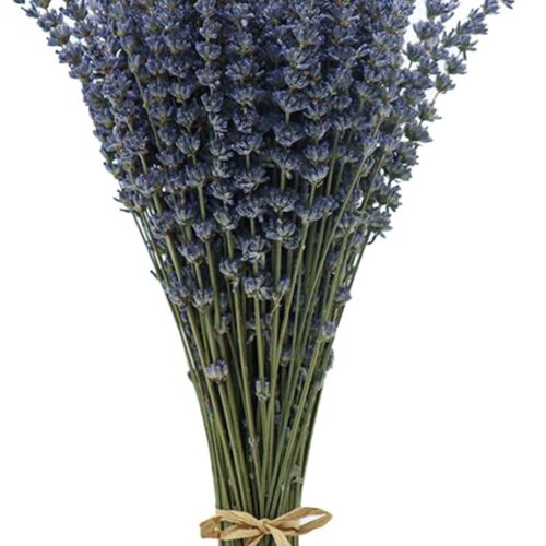 Dried Lavender Bundles Lavender Bunches Dry Lavender Flowers for Home Decor, Crafts, Wedding Bouquets
