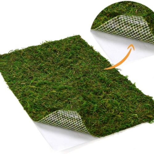 Dried Moss Mat for Wedding Birthday Party Fairy Garden Decorations, Dark Green (Green - 14" X 9")