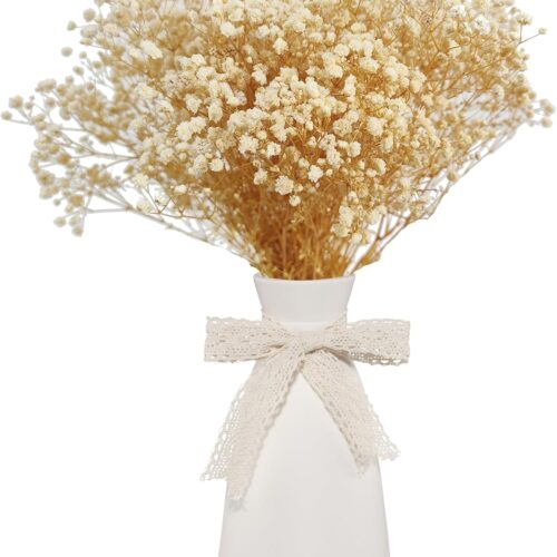 Dried Babys Breath Bulk Natural Dried Gypsophila Flowers White Babys Breath Stems for Home Decor, Weddings, Crafts