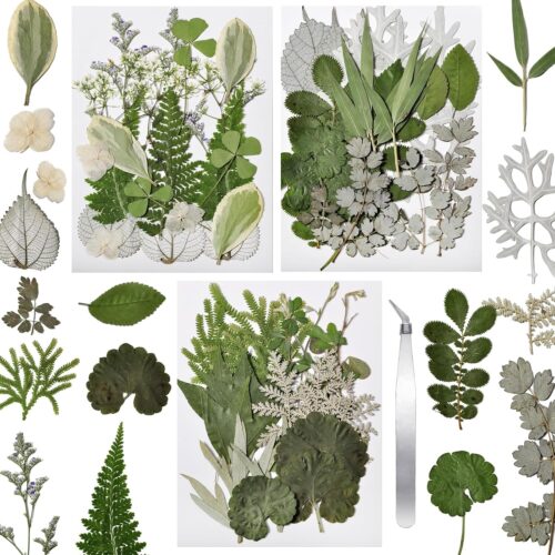 63 Pcs Pressed Leaves, 21 Styles Dried Flowers for Resin, Natural Dry Leaves for Pressed Leaf Art Craft DIY Embellishment Decorations