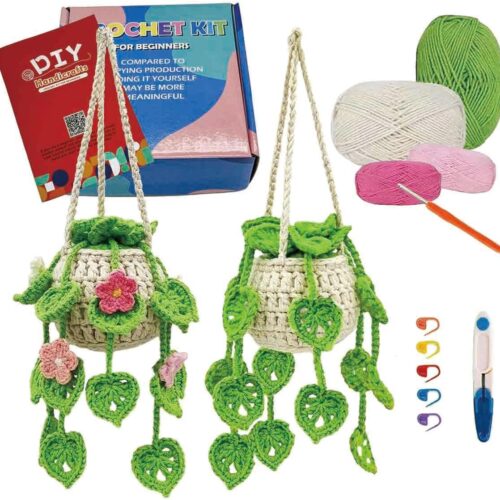 Crochet Kit for Beginners Kids and Adults,Beginner Crochet Plant Kit with Step-by-Step Video & Tutorials Detailed Instructions,DIY Knitting Supplies Great Gift for Crochet Lovers (2pcs Hollow Plant)