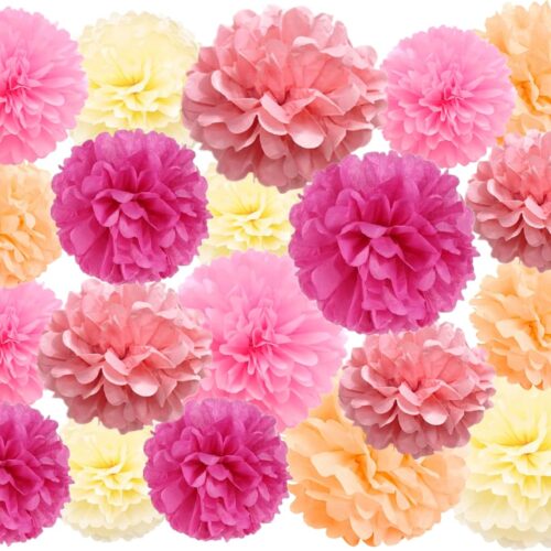 20 Pcs Paper Pom Poms Kit, Tissue Paper Flowers for Birthday, Wedding, Bachelorette, Baby Shower, Girl Nursery Decoration (Pink Mix)