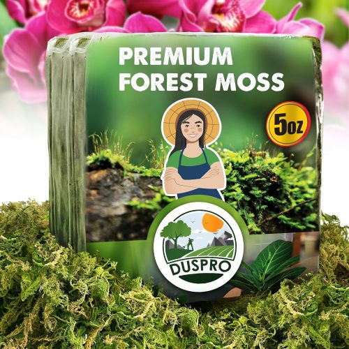 Dried Moss for Potted Plants, Forest Orchid Moss for Potting Mix, Sphagnum Potting Moss for Plants Indoor, Real Moss Soil Cover for Houseplant (5 OZ)