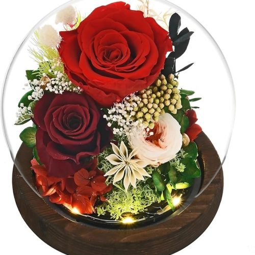 Real Forever Roses Gifts for Wife Sister Girlfriend on Mother Day Birthday Valentine Day
