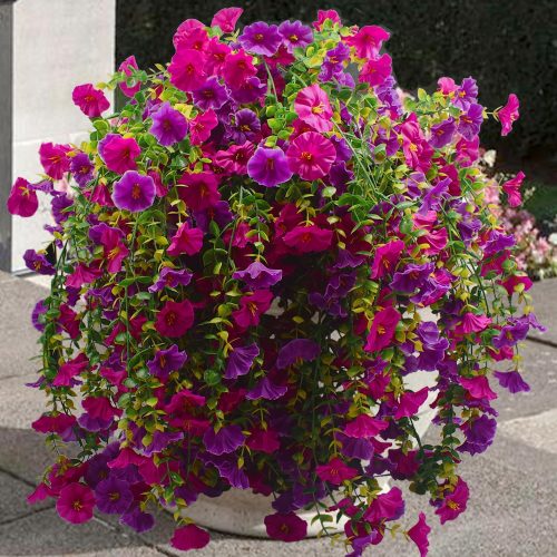 2 Pcs Look Real Artificial Flowers for Outdoors Artificial Hanging Flowers for Outdoors, UV Resistant Fake Hanging Plants Silk Petunia Faux Flowers for Porch Yard Spring Decor (Purple+Fuchsia)