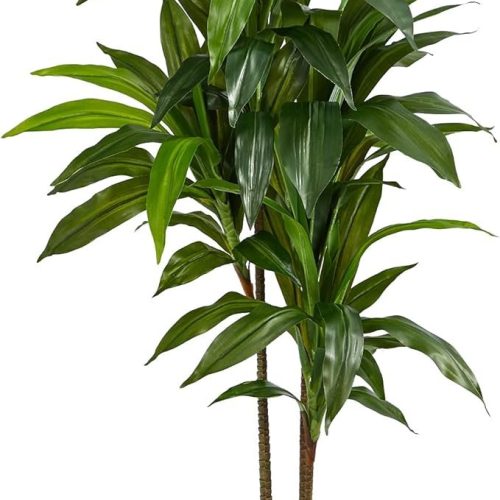 Real Touch Leaves Artificial Dracaena Plant, 4ft