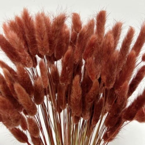 120pcs Bunny Tails Grass Burnt Orange Fall Dried Flowers Plant Boho Pampas Grass 17 inch for Home Decor Wedding Bouquet Natural Flower Arrangements (Caramel)