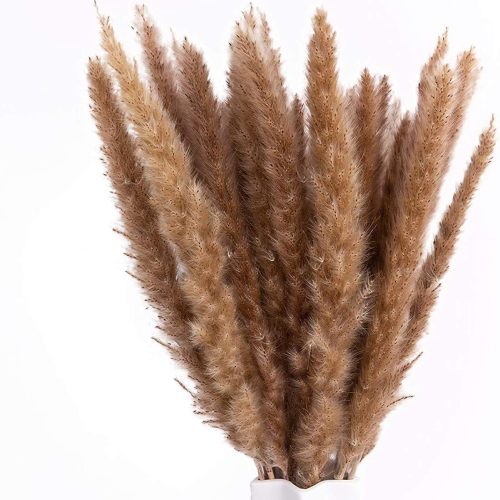 1 17" Pampas Grass, Uieke 30pcs Natural Dried Artificial Flowers Arrangements Large Reed Plumes Long for Home Wedding Party Decoration Wreath Vase Boho Decor Brown