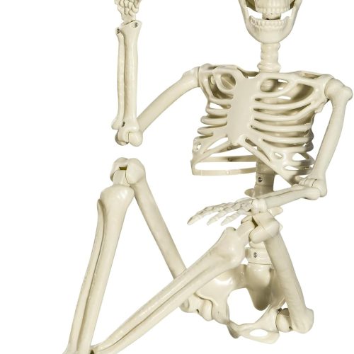 XONOR Halloween Skeleton Full Body Posable Joints Skeletons, 3ft Plastic Human Skeleton Decorations for Halloween Party Haunted House Supplies (2Pcs)