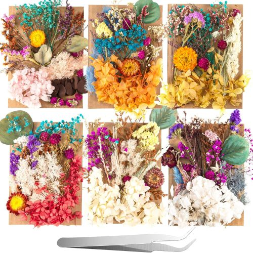 200 Pcs Natural Dried Pressed Flowers and Leaves Resin Real Dried Flower Leaves Mixed with Tweezers for DIY Jewelry Candle Soap Vase Making Nail Card Scrapbook Art Craft Floral Decors