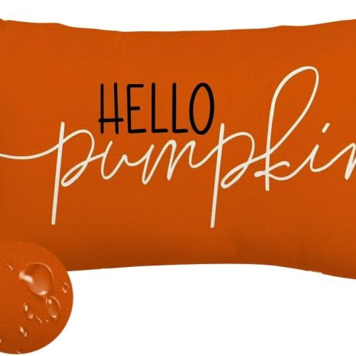 Fall Pillow Covers 12x20 Inch Outdoor Waterproof Rust Hello Pumpkin Quote Thanksgiving Autumn Lumbar Harvest Throw Cushion Cases Seasonal Fall Decorations for Home Couch Patio